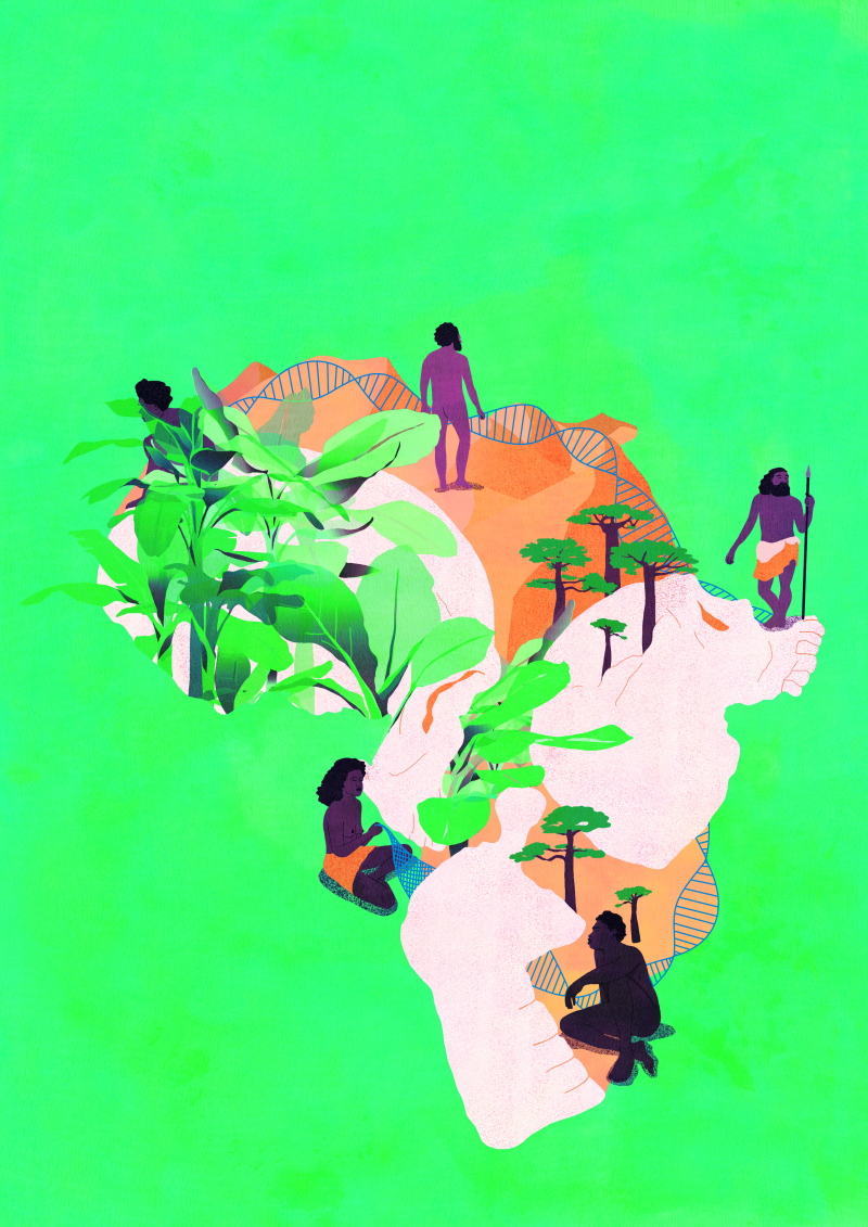 Une Seule Humanité Plusieurs Origines Africaines Cnrs Écologie And Environnement 6439
